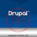 Drupal