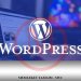 WordPress Siteler